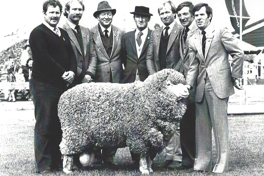 A black-and-white photo of seven men in suits standing in front of a ram sold for $47,000. 