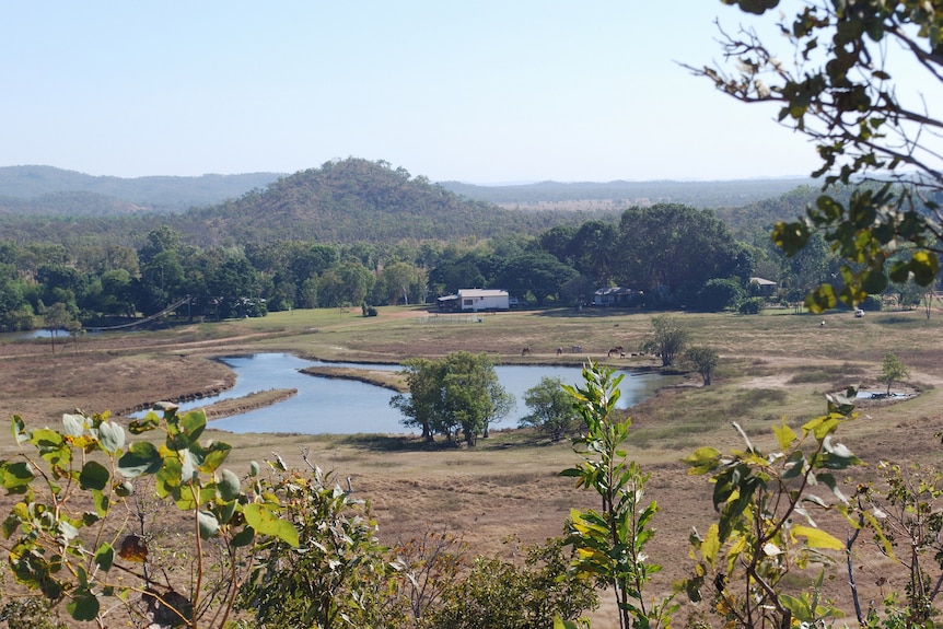 A farm with a lake, horses and a building is surrounded by slightly browning grass and mountains in the background. 