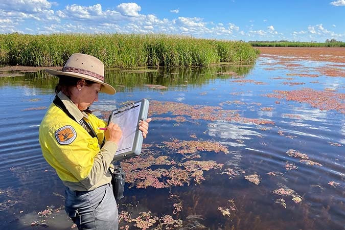 A woman wearing a hat standing knee-deep in a river writing into a clip board