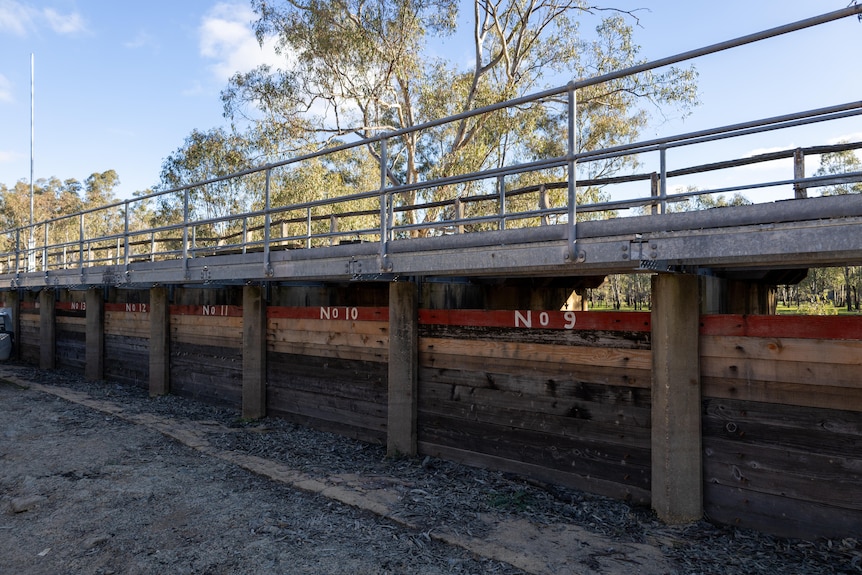 A levy made up of sleepers with gum trees in the background