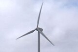 The Japanese company expects the Bald Hills wind farm to be in commercial operation by 2011.