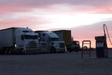 Several large semi trailer trucks parked next to each other under a pink dusk sky.