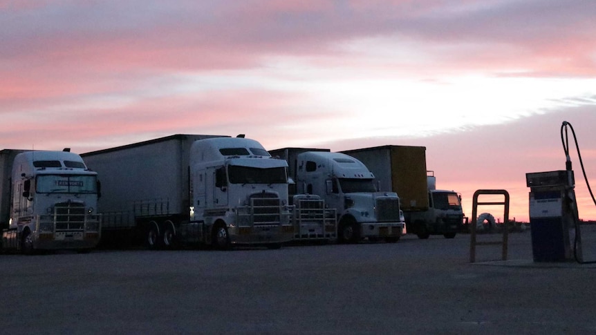 Several large semi trailer trucks parked next to each other under a pink dusk sky.