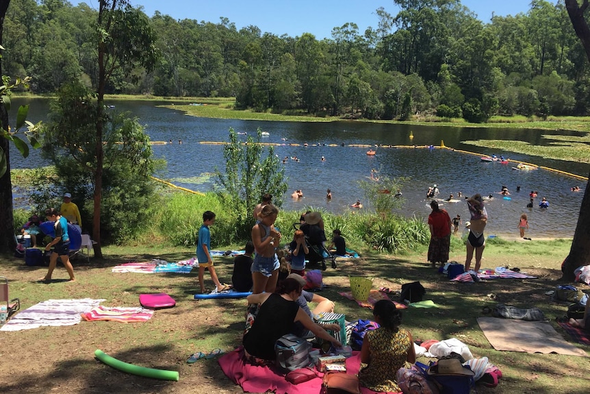 People cool off at Enoggera Dam as a heatwave hits Queensland.