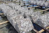 Photo of oyster shells in cages on a rack