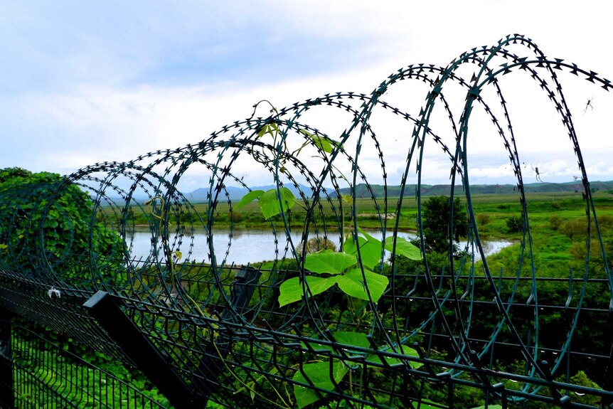 Looking into North Korea from Chinese side of the border through wire fencing.