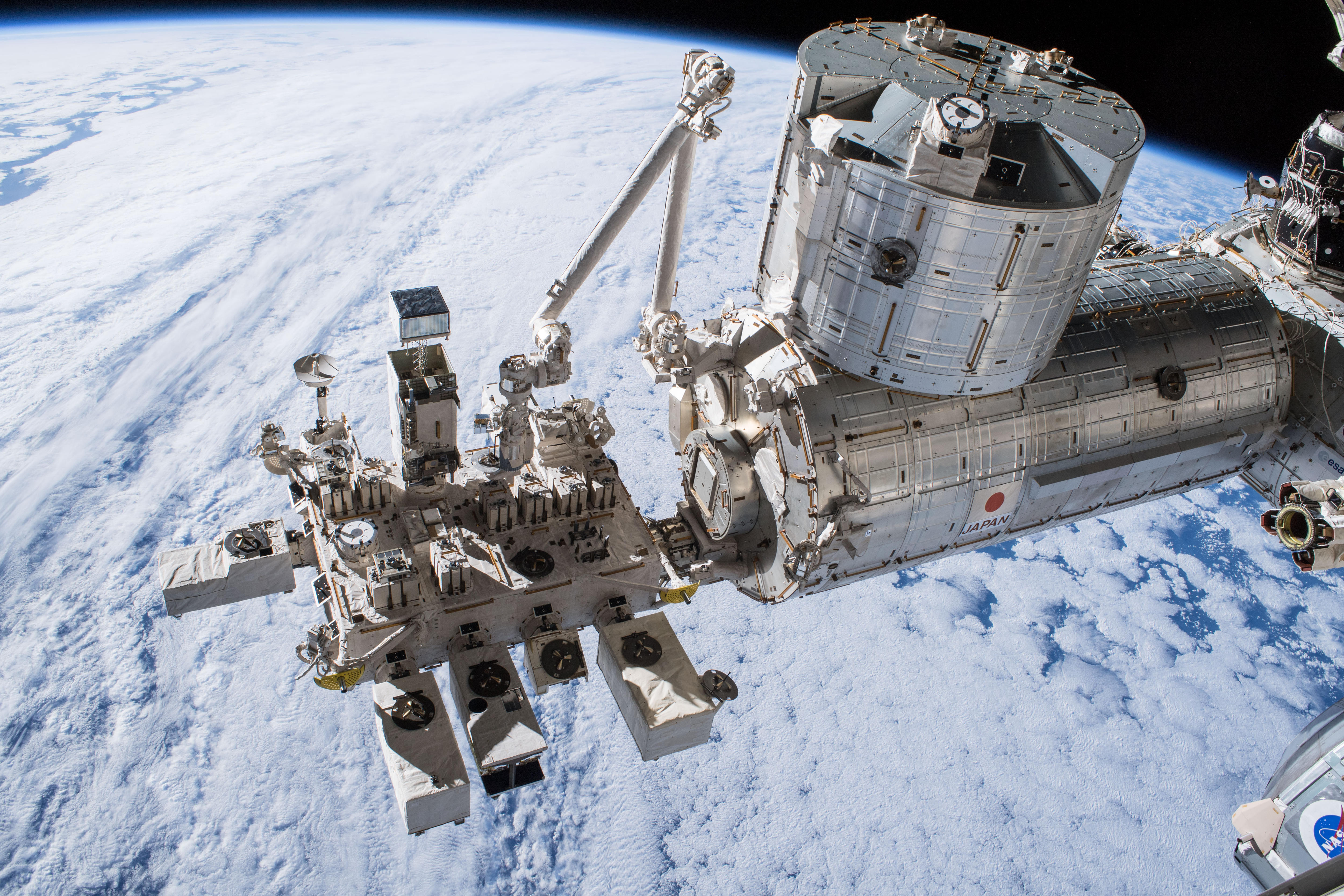 Super-tough moss survives nine months in space strapped to the ISS