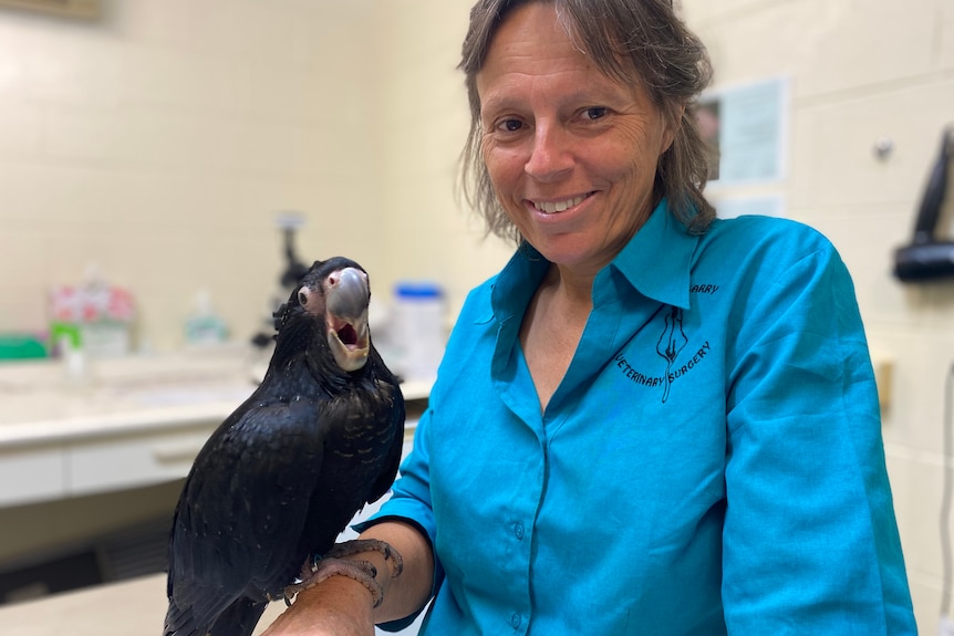 A smiling woman with dark, greying hair holds a red-tailed black cockatoo.