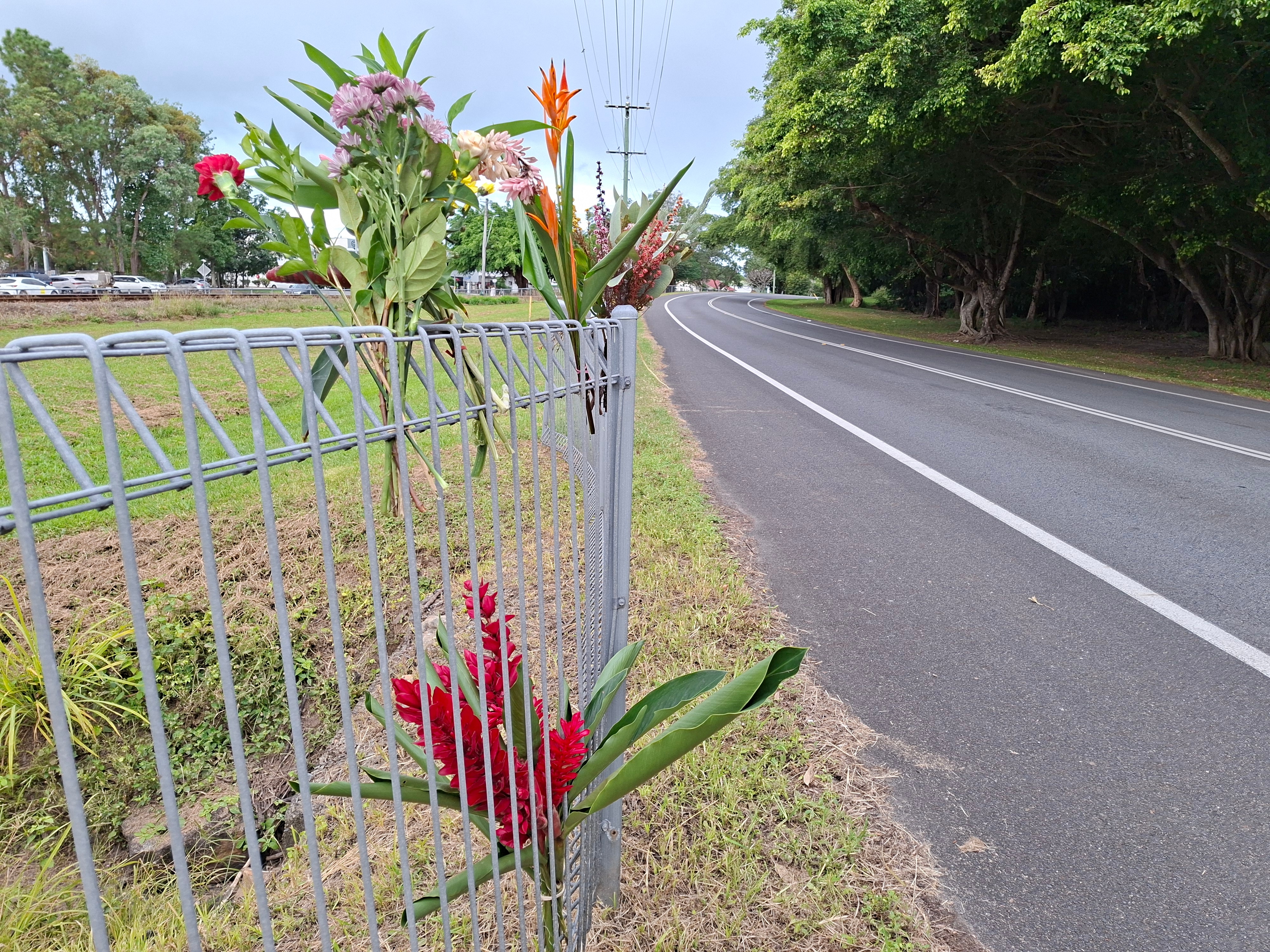 Flowers on a fence beside a road.