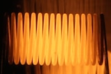 A close-up photograph of an electric light filament