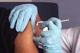Nurse with blue gloves is administering a vaccine into an arm which is partly covered by a black sleeve
