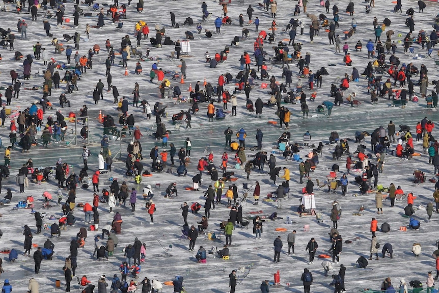 A sea of people cast lines through holes drilled in the surface of a frozen river