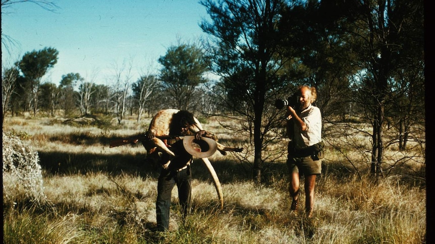 Ian Dunlop filming Shorty Bruno (carrying kangaroo) near Yayayi, NT 1974.
