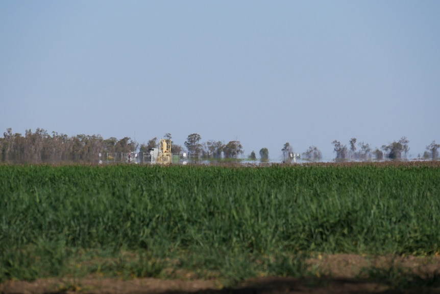 A gas well at the back of a wheat paddock near Dalby in August 2019.