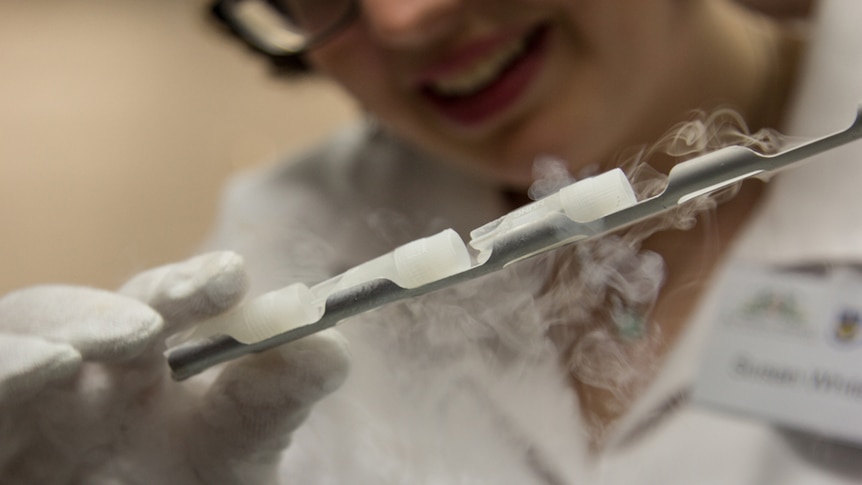 Phd student Susan Whitely with a plant sample that has been stored in liquid nitrogen.