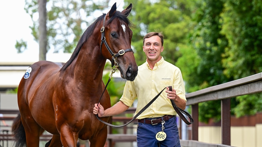 A man in a yellow shirt leads a shiny bay horse