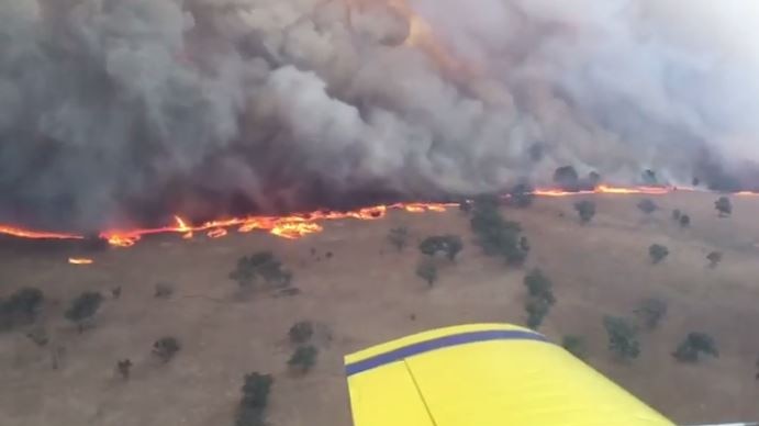 Fire line at Leadville near Dunedoo in Central West NSW, February 12, 2017.