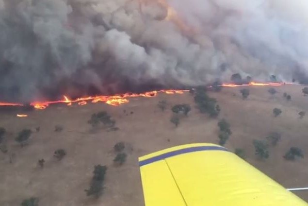 Fire line at Leadville near Dunedoo in Central West NSW, February 12, 2017.