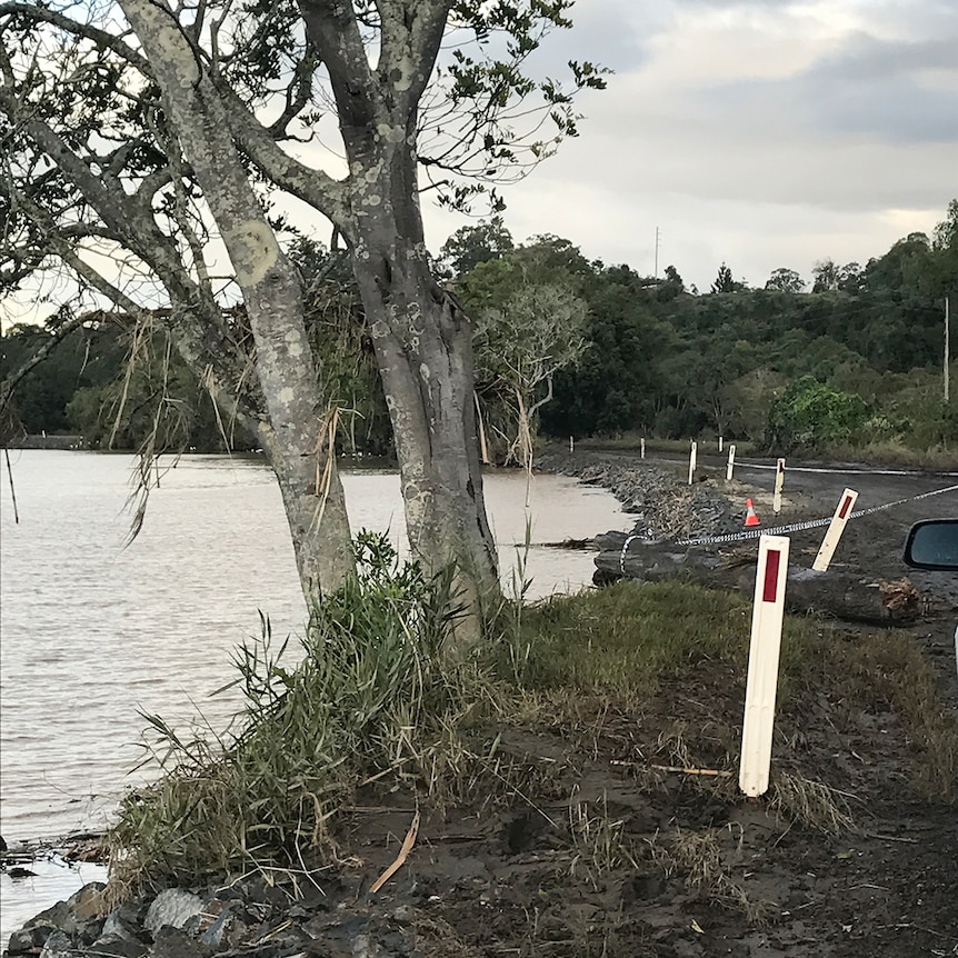 A river bank.