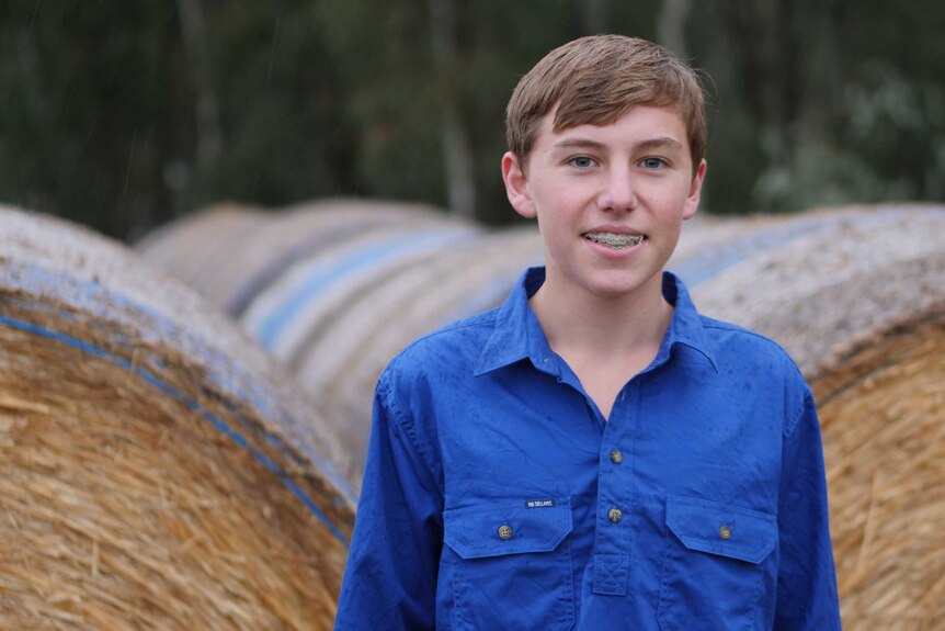 Charlie, standing facing the camera in front of hay bales.