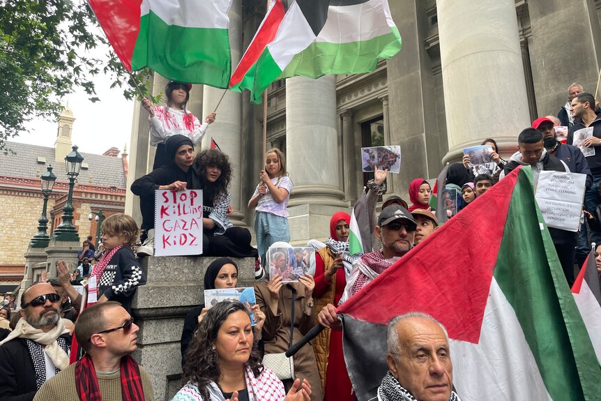 Protesters hold pro-Palestinian signs.