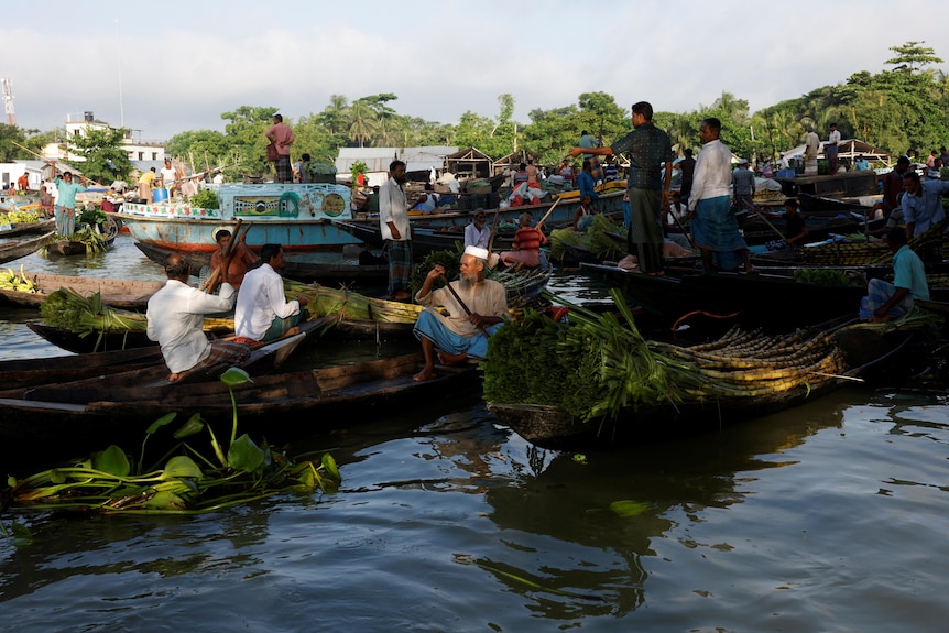 Farmers sell their sell vegetables, fruits and seedlings to middlemen at a bi-weekly floating market on the Belua river.
