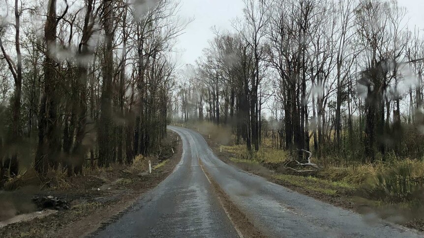 Yengarie rain on road
