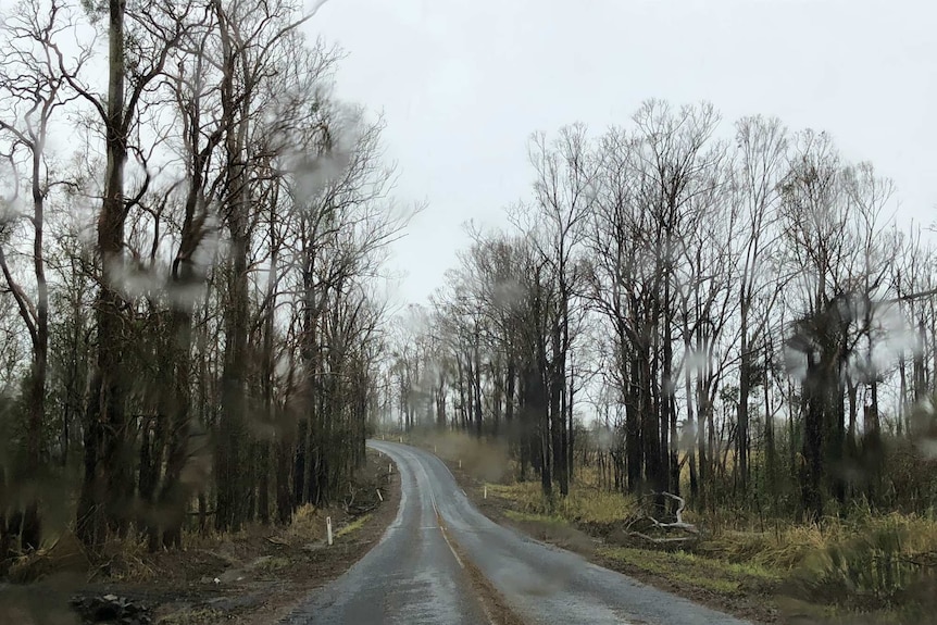 Yengarie rain on road