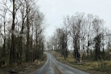 Yengarie rain on road