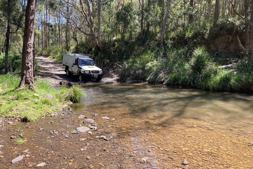 A car about to drive through the shallow waters of a creek in the bush.