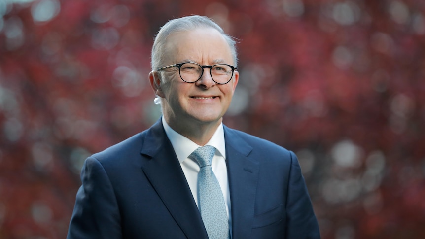 Albanese smiles in the cold dawn light, the warm colour of a grand autumnal tree fills the background behind him.