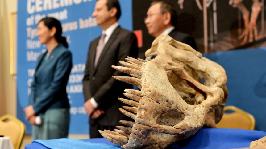 Part of a Tyrannosaurus Bataar skeleton at the announcement of its repatriation to Mongolia.