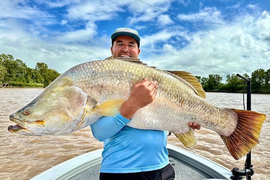 A man in a blue fishing shirt on a boat holding a huge barramundi fish.