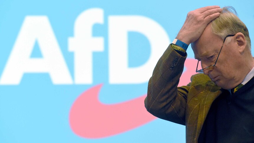 AfD co-leader Alexander Gauland with his hand on his head.