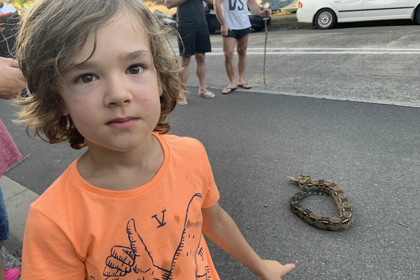 Guy Martin, 7, with the snake on the street in the background