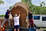 Barcaldine locals flocked to the local showgrounds to help unload bales of hay delivered to them