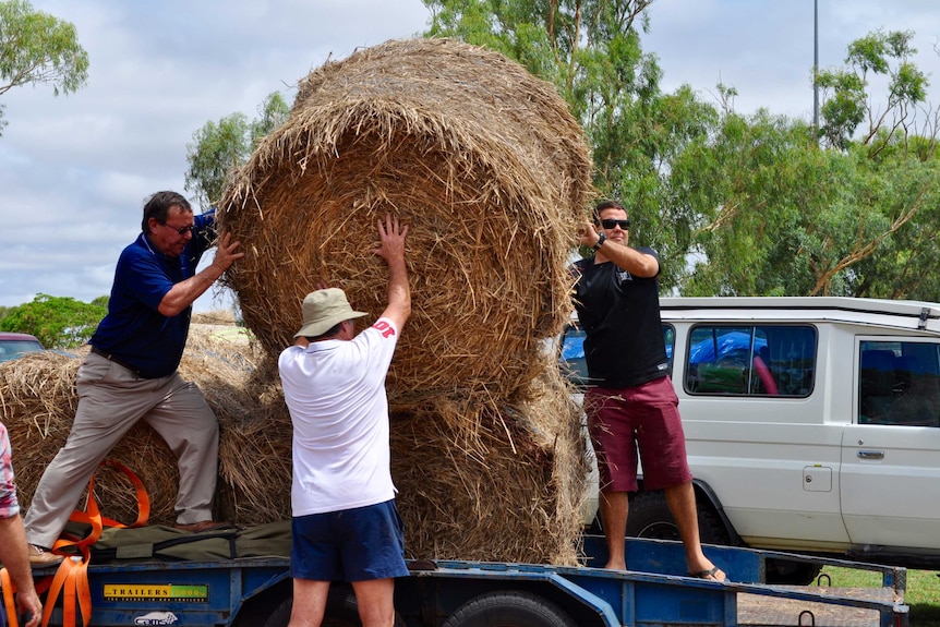Barcaldine locals flocked to the local showgrounds to help unload bales of hay delivered to them