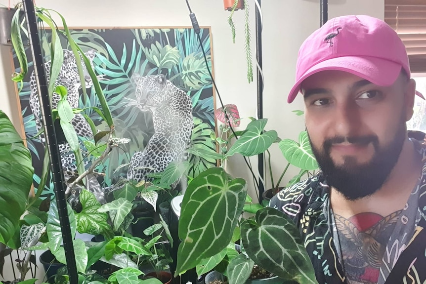 Sev Ipradjian holds an Anthurium hybrid plant, and propagates rare indoor varieties to sell.