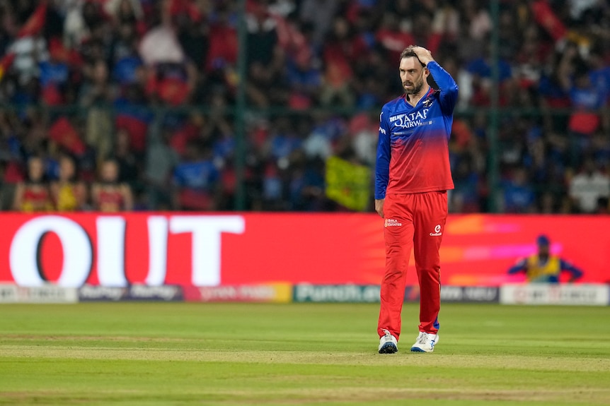 Glenn Maxwell pictured during the IPL