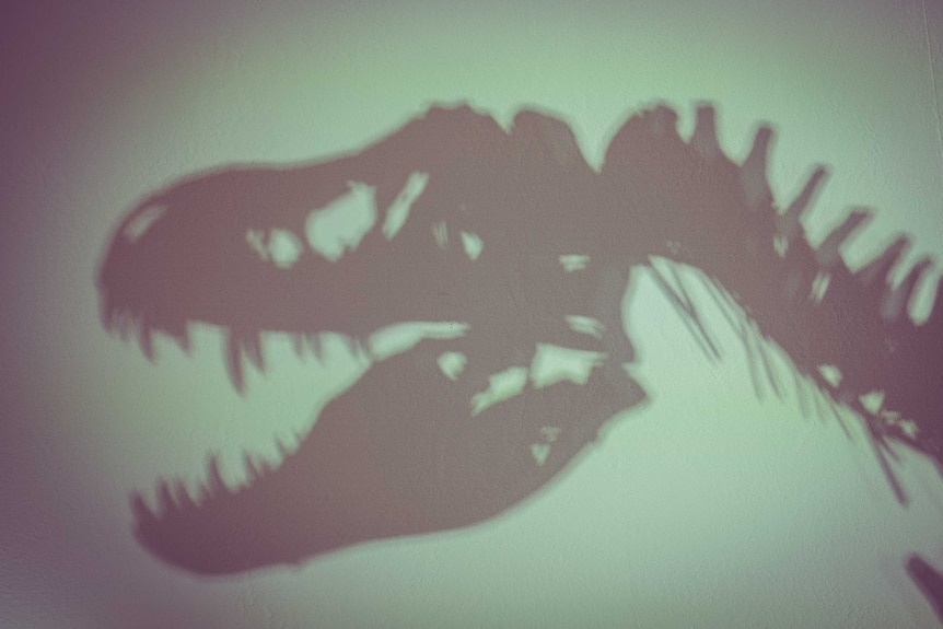 A silhouette of the head of a T-Rex skeleton.