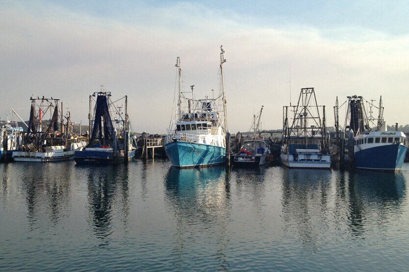 several fishing trawlers are docked in calm waters 