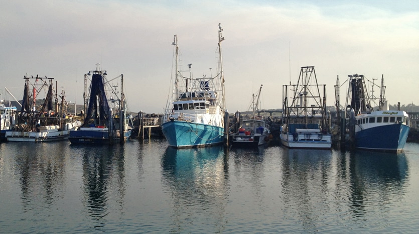 Commercial fishing boats in Coffs Harbour