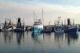 Commercial fishing boats