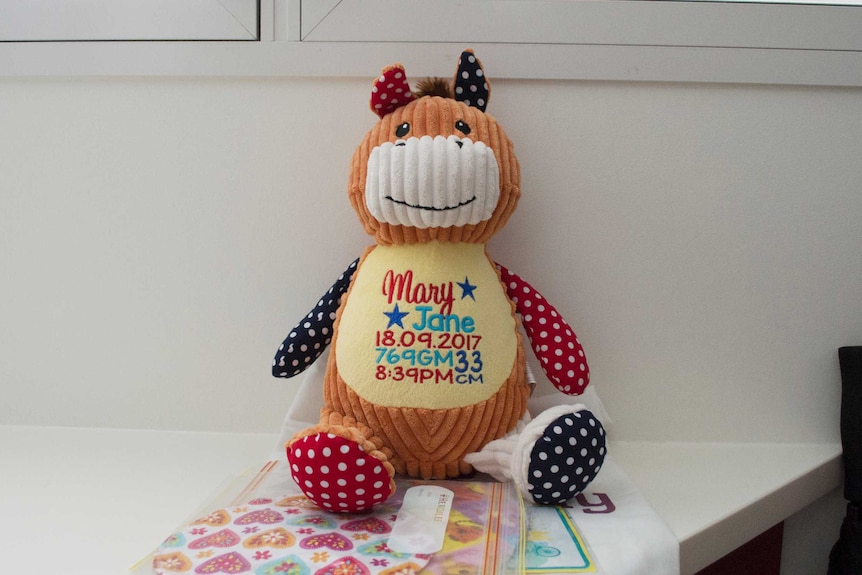 A special toy made to celebrate the birth of Mary Jane has details of her birth time and weight.