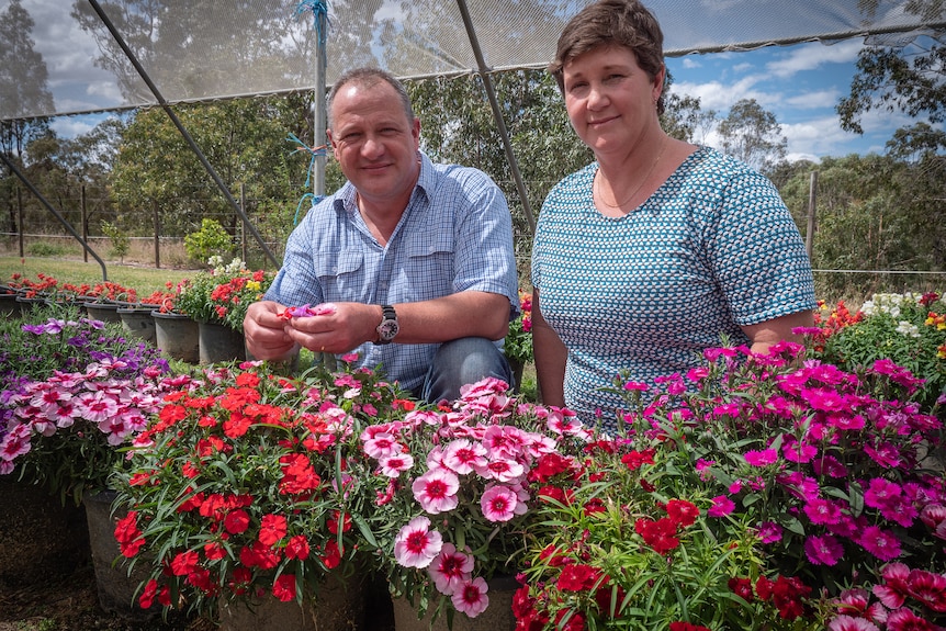 a man and woman bend down to inspect flowers on a farm