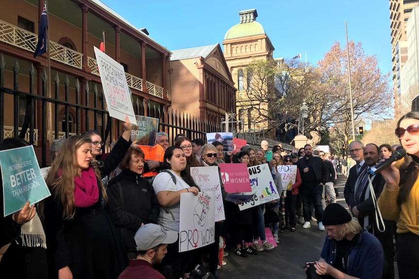 Protestors holding placards outside the NSW Parliament.