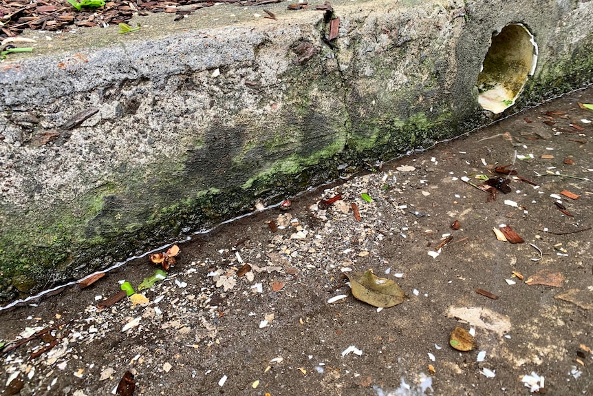 A street gutter with small fragments of asbestos in it.