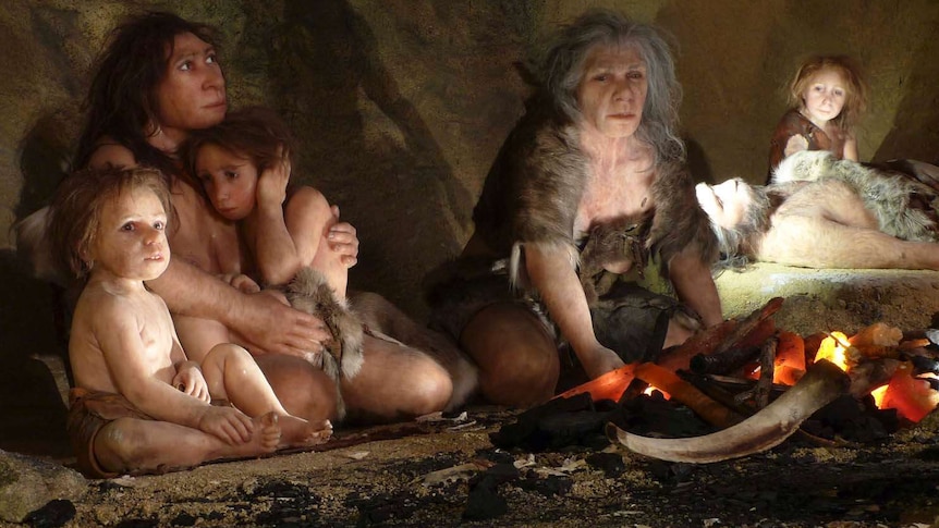 An exhibit showing a neanderthal family in a cave, in a museum in Croatia, on February 5, 2010.