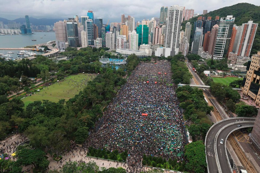A huge crowd of people fill a park in Hong Kong
