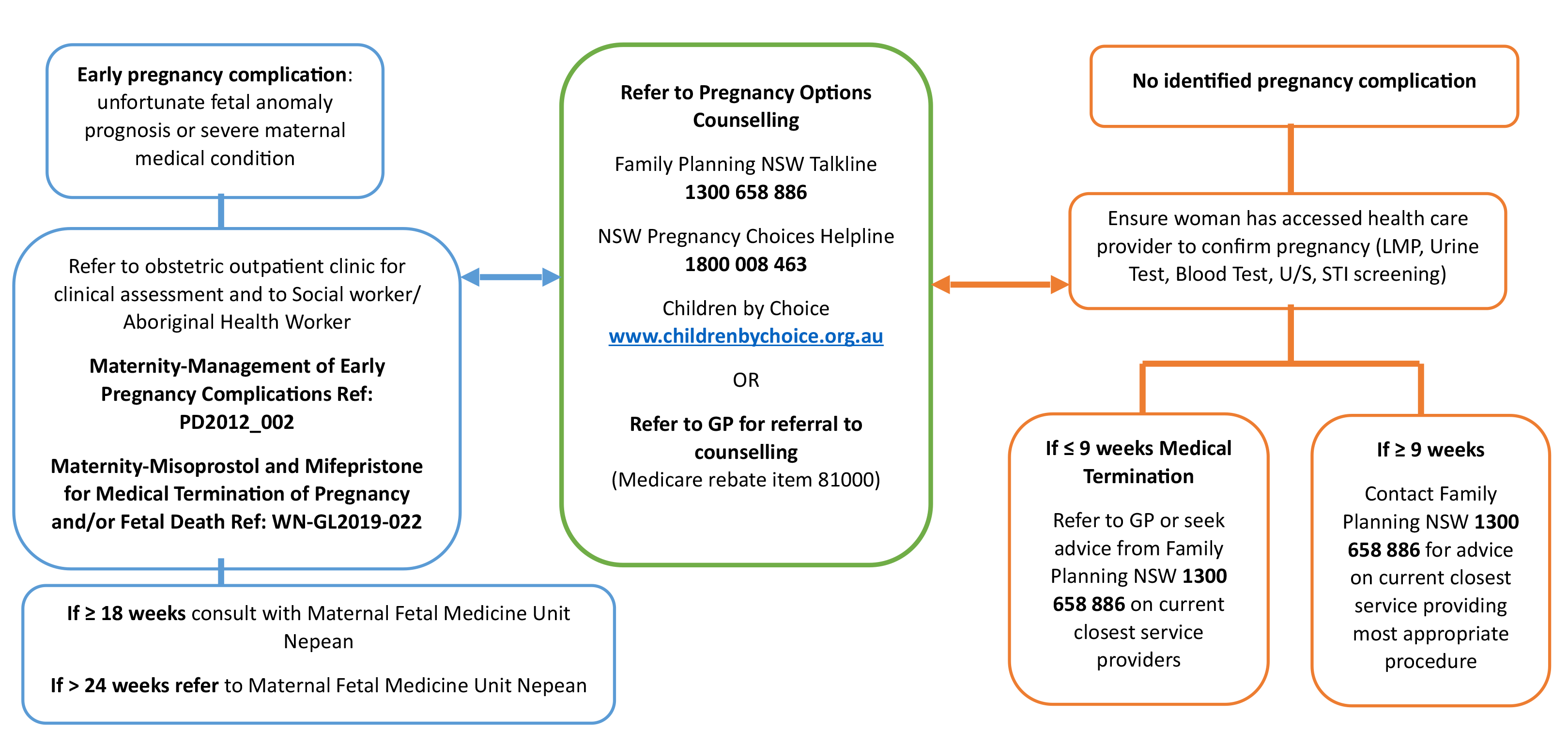 A photo of a document on screen shows a flowchart titled Referral Pathway for Patients Seeking Termination of Pregnancy